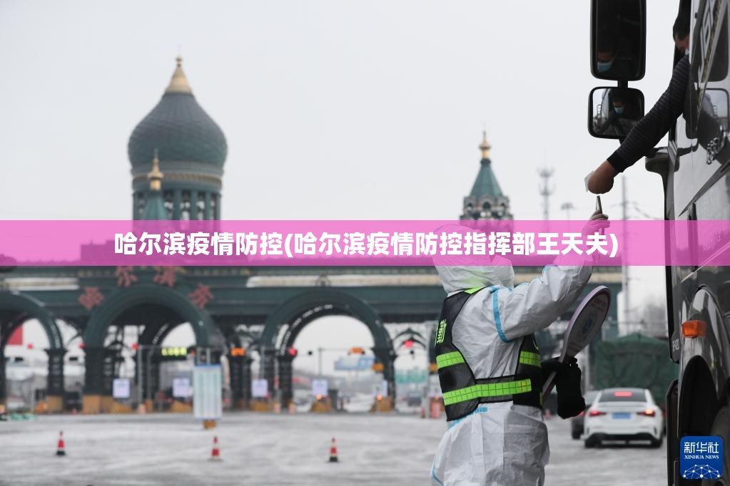 哈尔滨疫情防控(哈尔滨疫情防控指挥部王天夫)