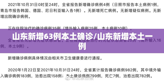 山东新增63例本土确诊/山东新增本土一例 山东新增63例本土确诊/山东新增本土一例