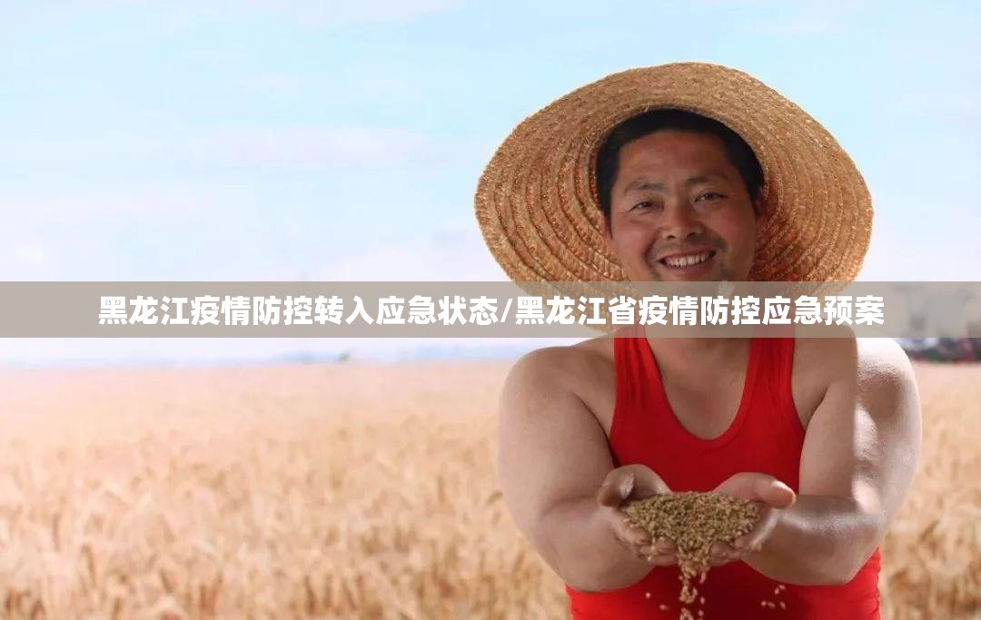 黑龙江疫情防控转入应急状态/黑龙江省疫情防控应急预案 黑龙江疫情防控转入应急状态/黑龙江省疫情防控应急预案