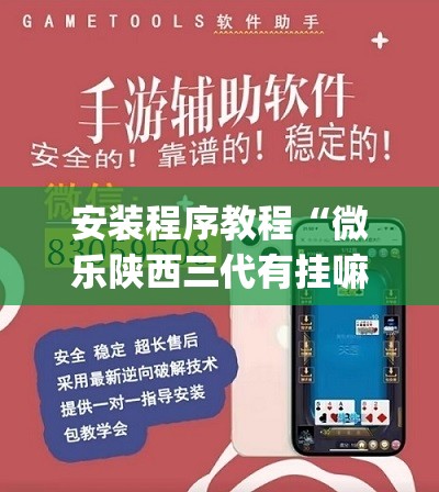安装程序教程“微乐陕西三代有挂嘛”(原来确实是有插件)