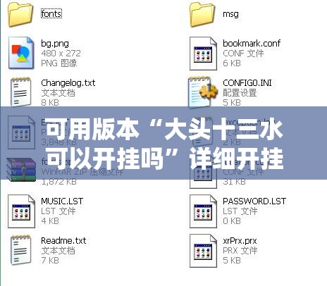 可用版本“大头十三水可以开挂吗”详细开挂玩法