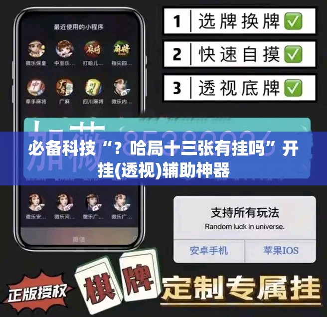 必备科技“？哈局十三张有挂吗”开挂(透视)辅助神器