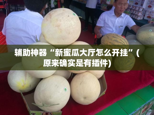 辅助神器“新蜜瓜大厅怎么开挂”(原来确实是有插件)