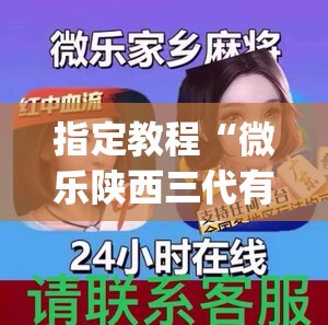 指定教程“微乐陕西三代有挂嘛”(原来确实是有插件)