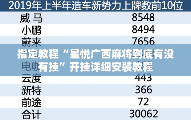 指定教程“星悦广西麻将到底有没有挂”开挂详细安装教程