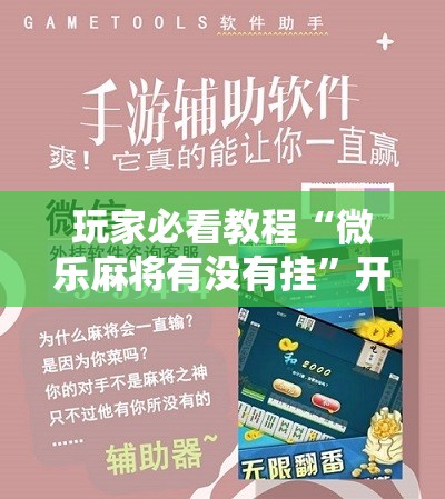 玩家必看教程“微乐麻将有没有挂”开挂详细安装教程