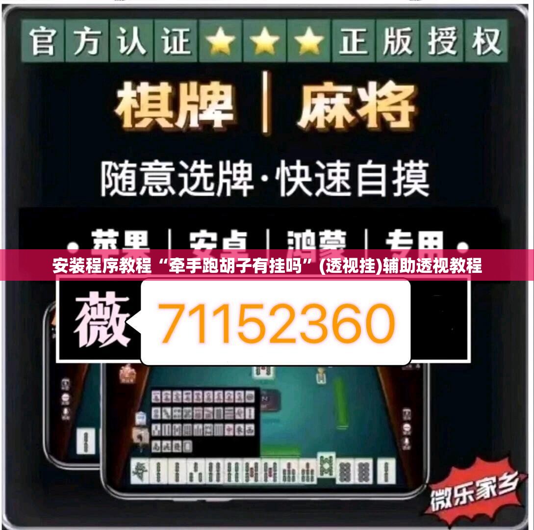 安装程序教程“牵手跑胡子有挂吗”(透视挂)辅助透视教程