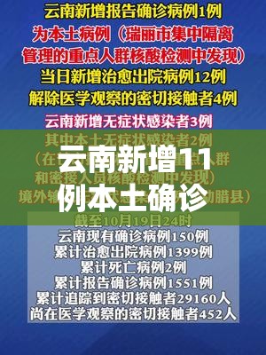 云南新增11例本土确诊病例(云南新增本土12例一)