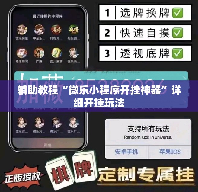 辅助教程“微乐小程序开挂神器”详细开挂玩法