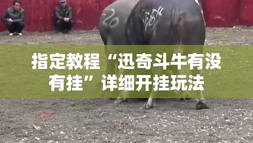 指定教程“迅奇斗牛有没有挂”详细开挂玩法
