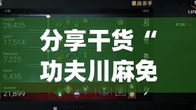 分享干货“功夫川麻免费开挂神器(透视)”详细辅助透视