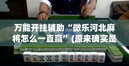 万能开挂辅助“微乐河北麻将怎么一直赢”(原来确实是有插件)