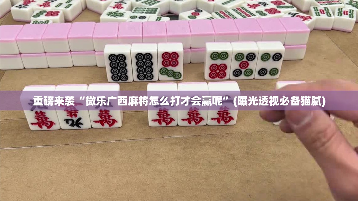 重磅来袭“微乐广西麻将怎么打才会赢呢”(曝光透视必备猫腻)