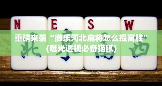 重磅来袭“微乐河北麻将怎么提高胜”(曝光透视必备猫腻)