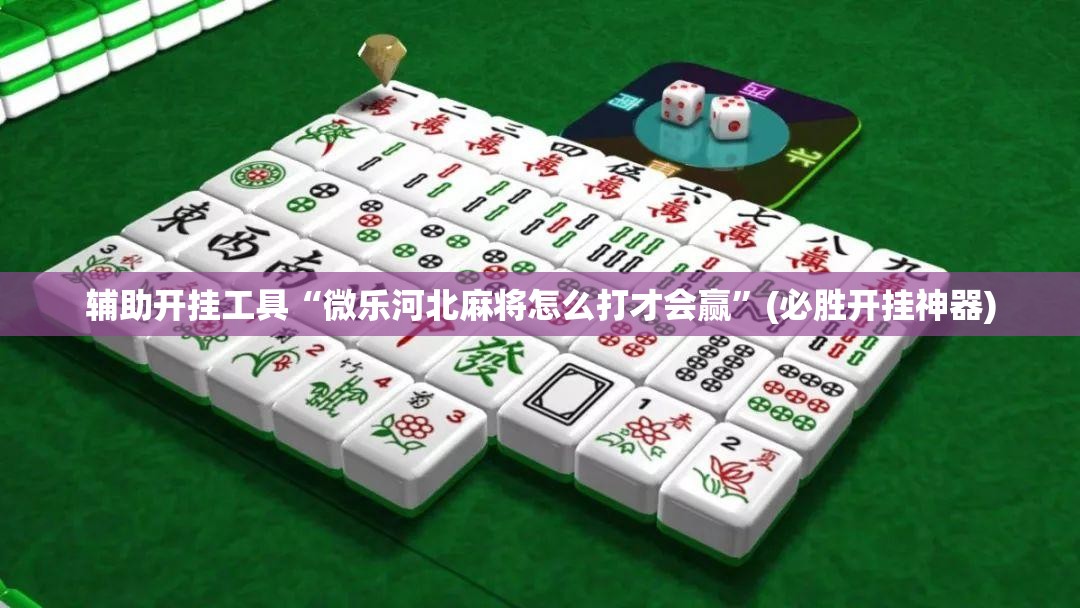 辅助开挂工具“微乐河北麻将怎么打才会赢”(必胜开挂神器)