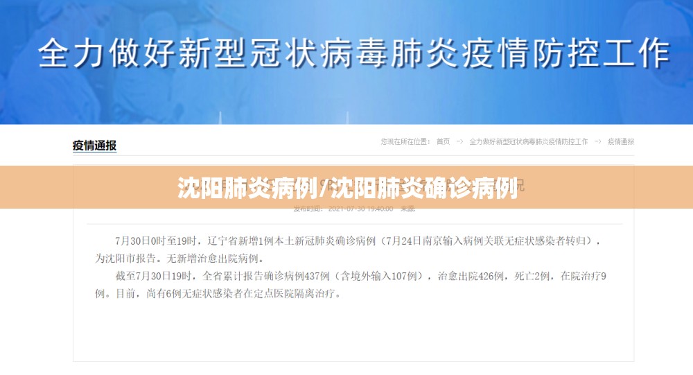 沈阳肺炎病例/沈阳肺炎确诊病例