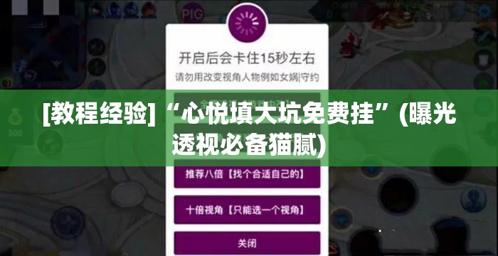[教程经验]“心悦填大坑免费挂”(曝光透视必备猫腻)