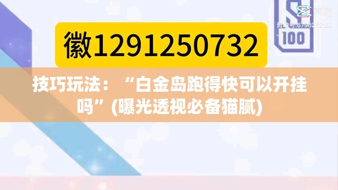 技巧玩法：“白金岛跑得快可以开挂吗”(曝光透视必备猫腻)