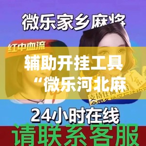辅助开挂工具“微乐河北麻将怎么一直赢(透视)”详细辅助透视