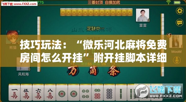 技巧玩法：“微乐河北麻将免费房间怎么开挂”附开挂脚本详细教程