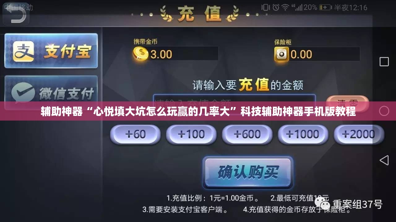 辅助神器“心悦填大坑怎么玩赢的几率大”科技辅助神器手机版教程