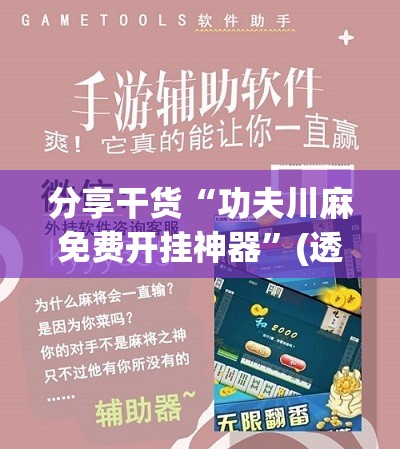 分享干货“功夫川麻免费开挂神器”(透视挂)辅助透视教程