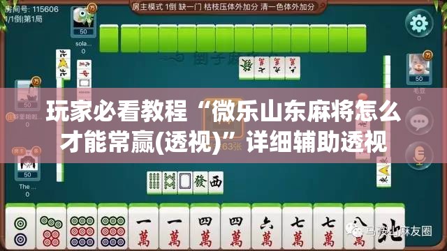 玩家必看教程“微乐山东麻将怎么才能常赢(透视)”详细辅助透视