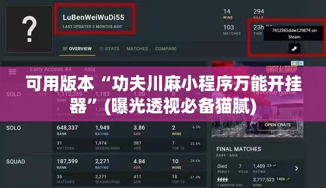 可用版本“功夫川麻小程序万能开挂器”(曝光透视必备猫腻)
