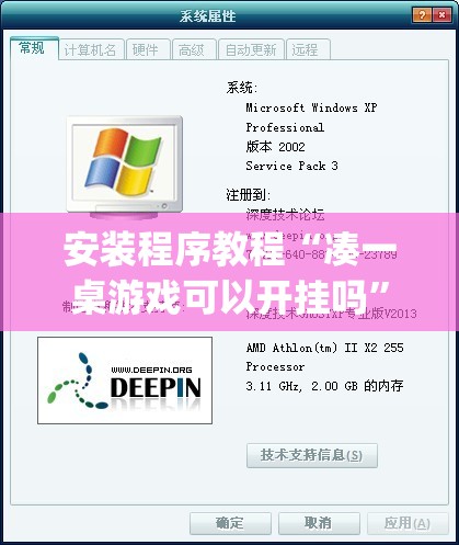 安装程序教程“凑一桌游戏可以开挂吗”(原来确实是有插件)