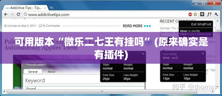 可用版本“微乐二七王有挂吗”(原来确实是有插件)