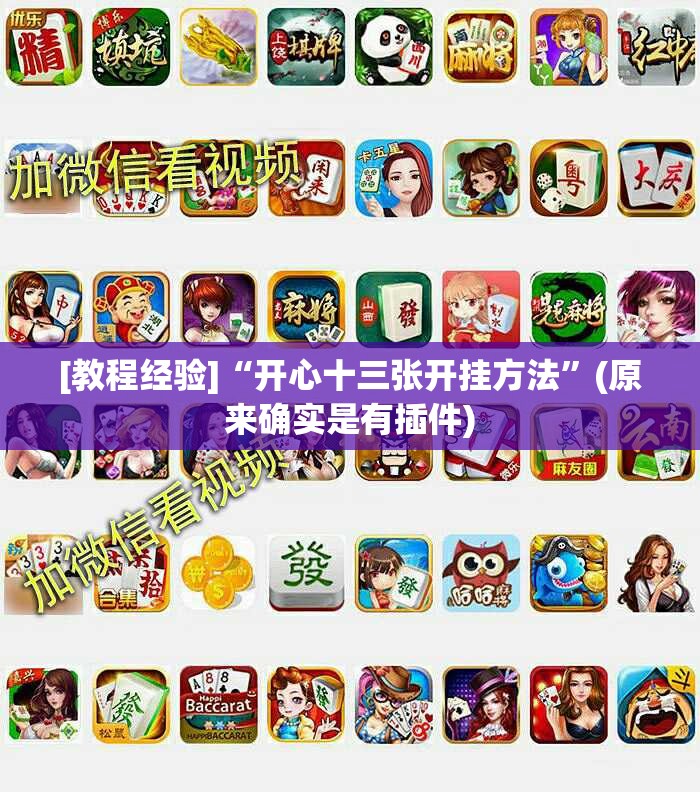 [教程经验]“开心十三张开挂方法”(原来确实是有插件)