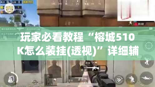 玩家必看教程“榕城510K怎么装挂(透视)”详细辅助透视