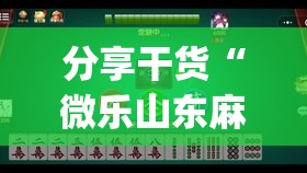 分享干货“微乐山东麻将开挂神器”(透视挂)辅助透视教程