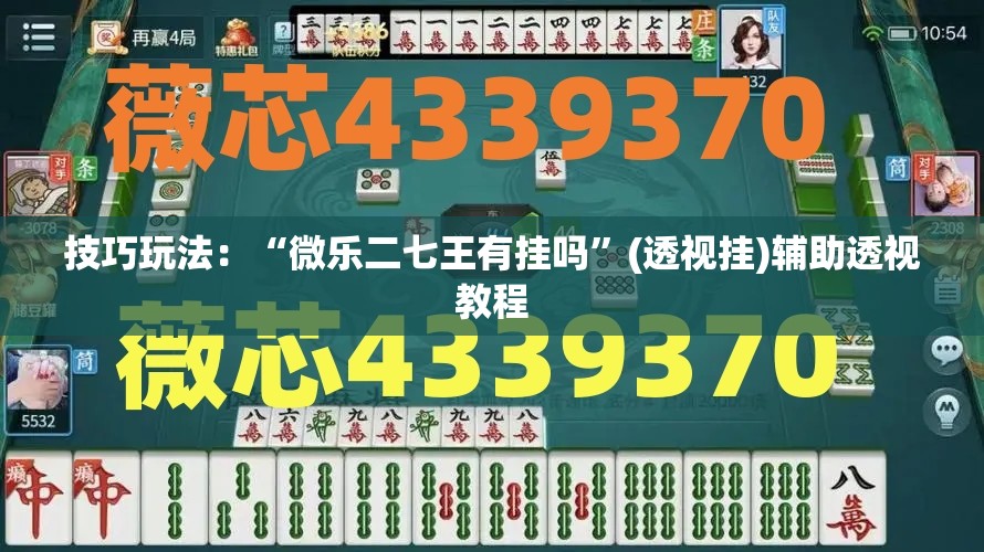 技巧玩法：“微乐二七王有挂吗”(透视挂)辅助透视教程