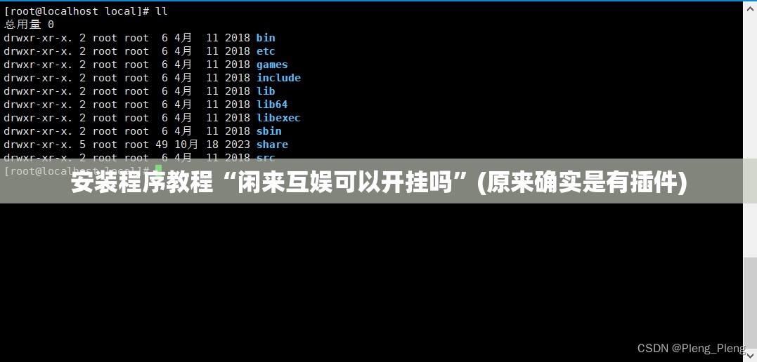 安装程序教程“闲来互娱可以开挂吗”(原来确实是有插件)