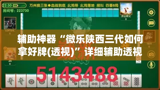 辅助神器“微乐陕西三代如何拿好牌(透视)”详细辅助透视