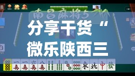 分享干货“微乐陕西三代如何拿好牌”开挂(透视)辅助神器