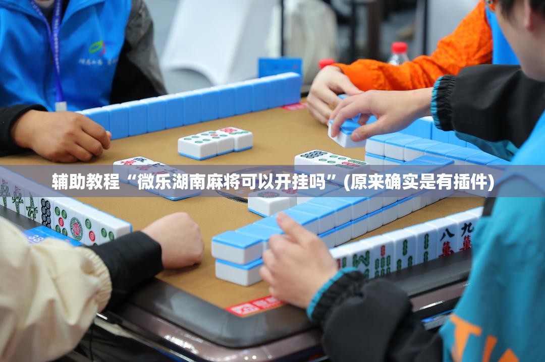 辅助教程“微乐湖南麻将可以开挂吗”(原来确实是有插件)