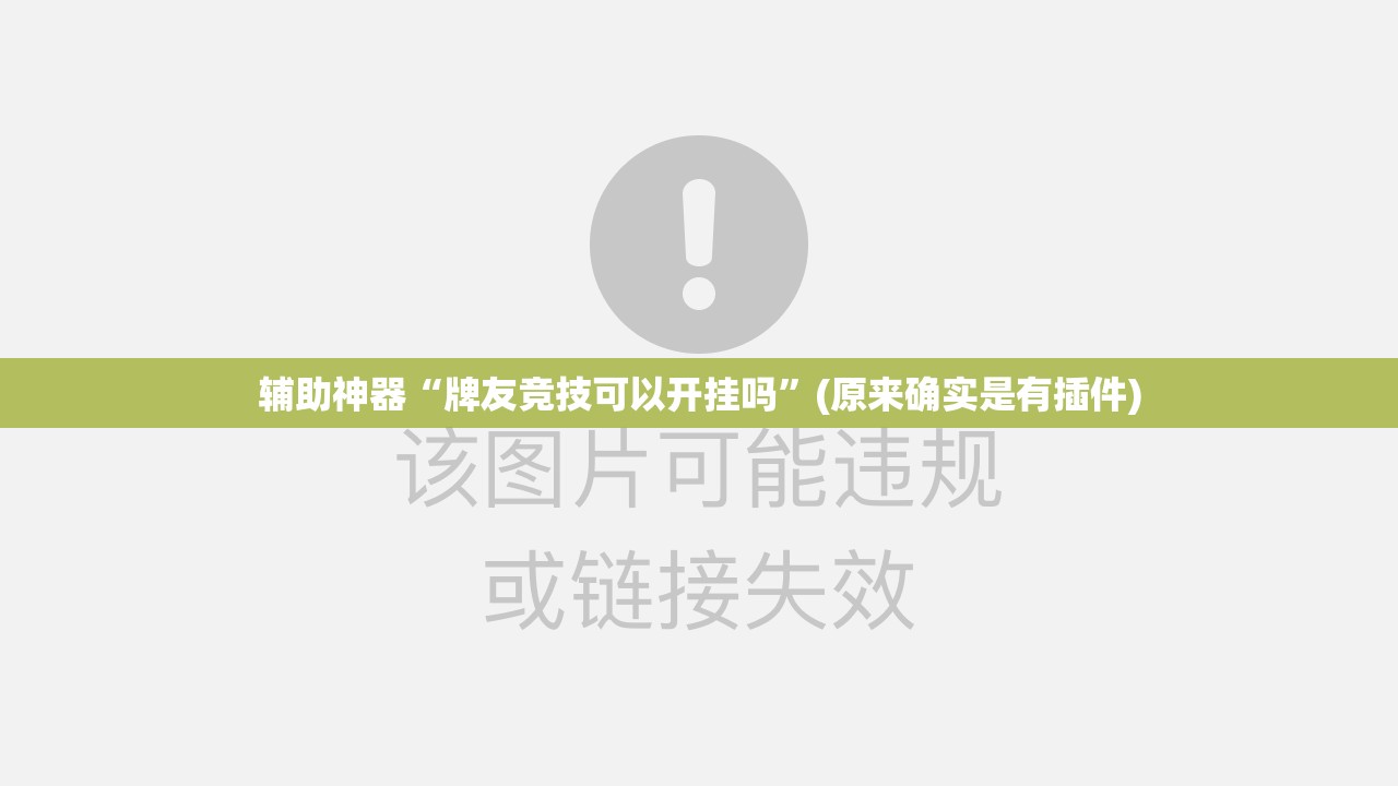 辅助神器“牌友竞技可以开挂吗”(原来确实是有插件)