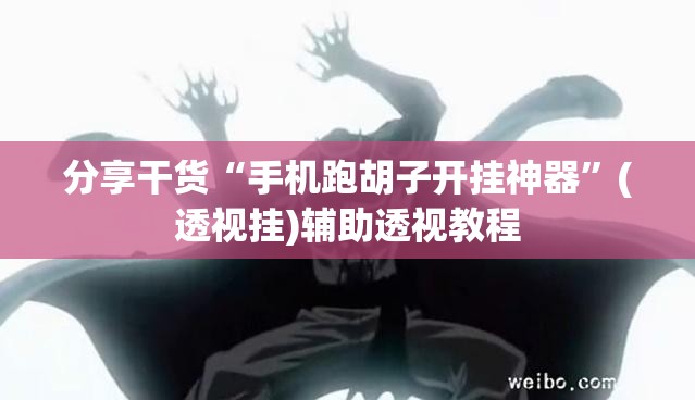 分享干货“手机跑胡子开挂神器”(透视挂)辅助透视教程