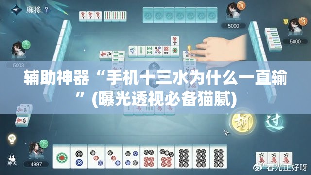 辅助神器“手机十三水为什么一直输”(曝光透视必备猫腻)