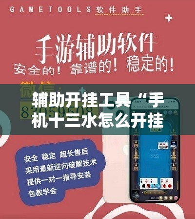 辅助开挂工具“手机十三水怎么开挂”科技辅助神器手机版教程