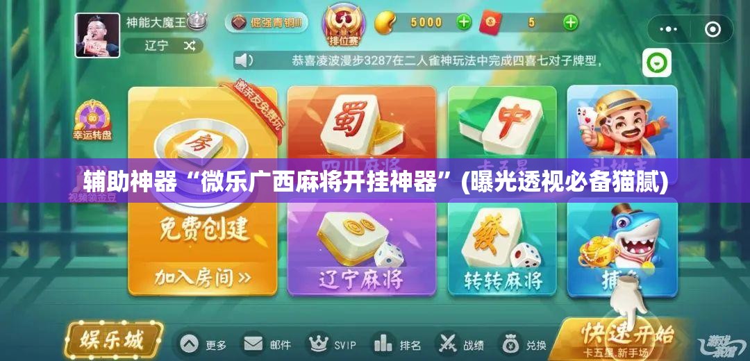 辅助神器“微乐广西麻将开挂神器”(曝光透视必备猫腻)