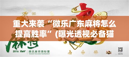 重大来袭“微乐广东麻将怎么提高胜率”(曝光透视必备猫腻)