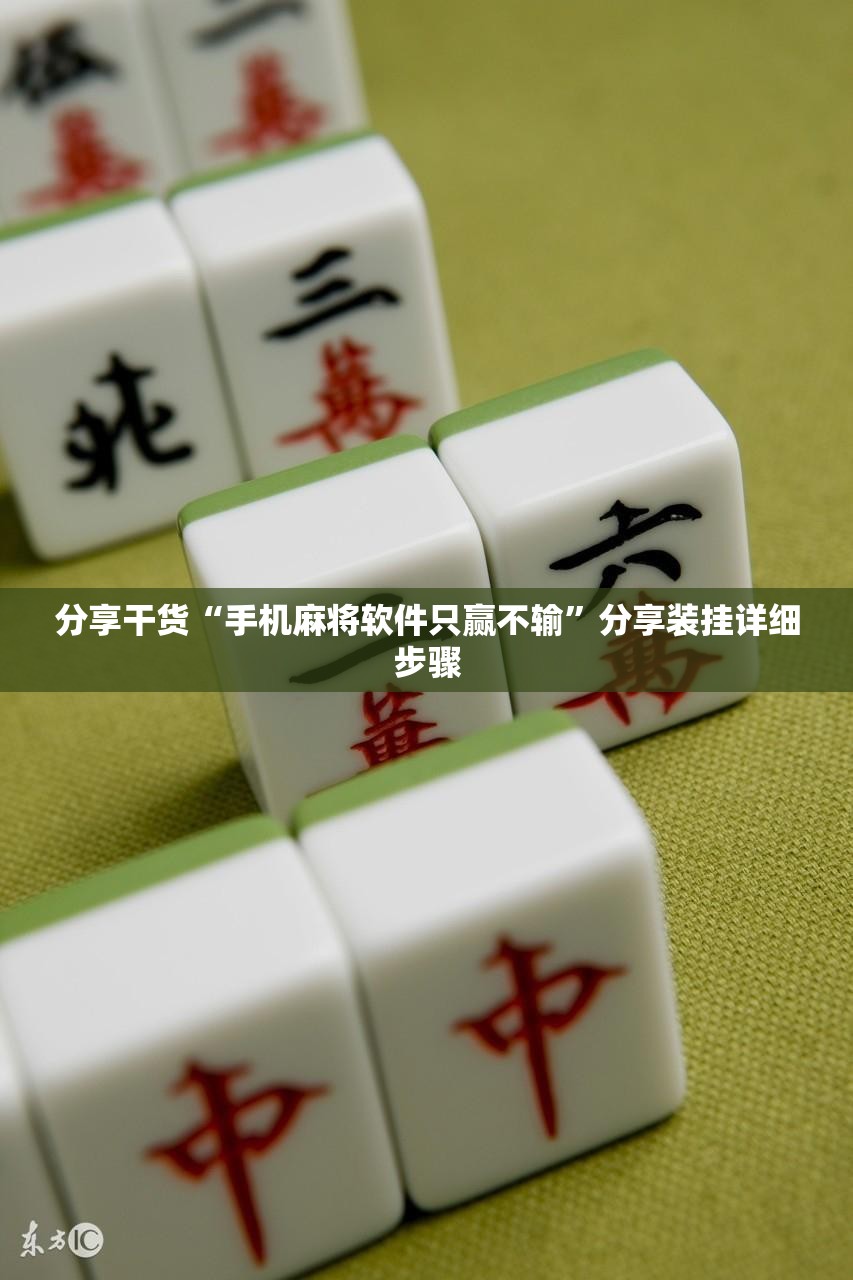 分享干货“手机麻将软件只赢不输”分享装挂详细步骤