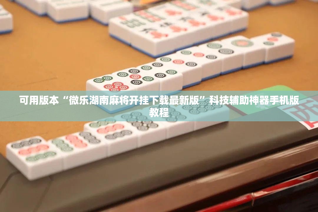 可用版本“微乐湖南麻将开挂下载最新版”科技辅助神器手机版教程