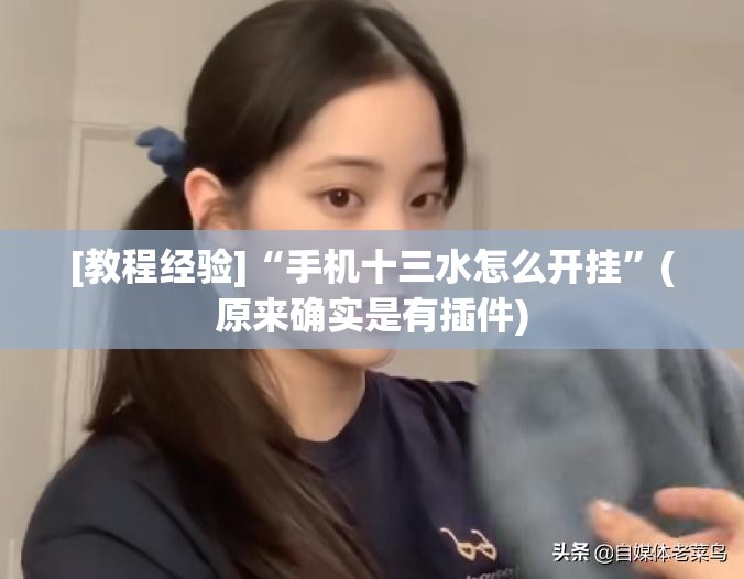 [教程经验]“手机十三水怎么开挂”(原来确实是有插件)