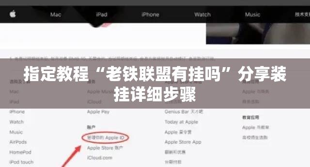 指定教程“老铁联盟有挂吗”分享装挂详细步骤