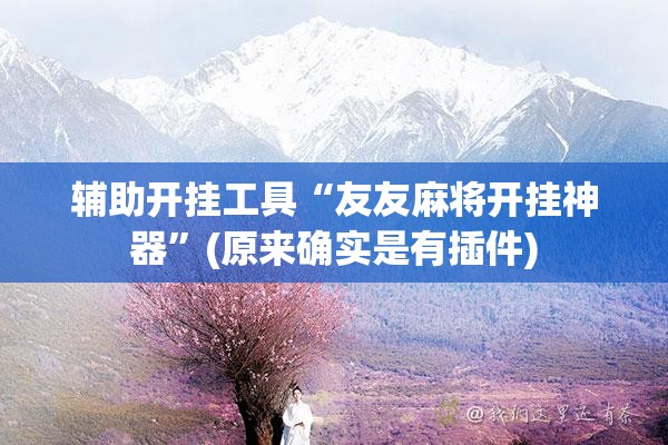 辅助开挂工具“友友麻将开挂神器”(原来确实是有插件) 辅助开挂工具“友友麻将开挂神器”(原来确实是有插件)