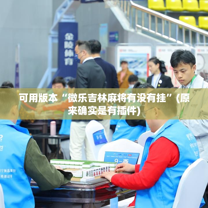 可用版本“微乐吉林麻将有没有挂”(原来确实是有插件)